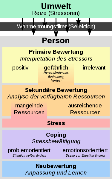 Transaktionales Stressmodell nach Lazarus